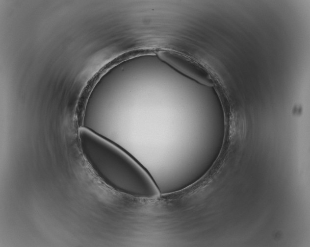 X0000111380876200907171220