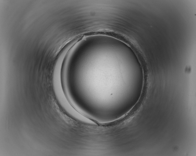 X0000111380881200907171220