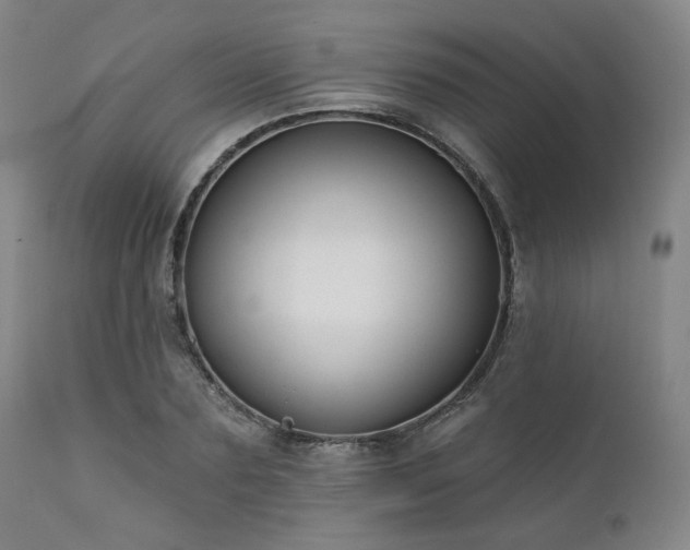 X0000111380883200907171220