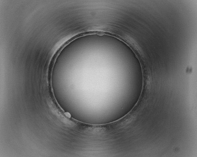 X0000111380884200907171220