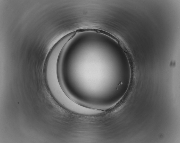 X0000111380885200907171220