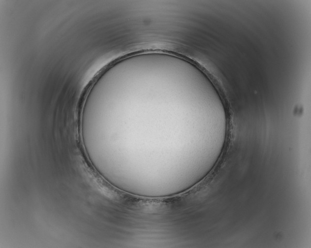 X0000111380886200907171220