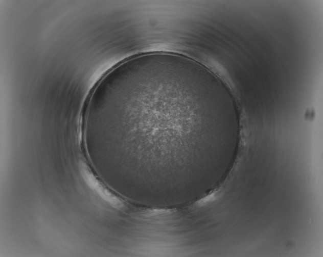 X0000111380892200907171220