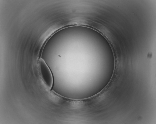 X0000111380893200907171220