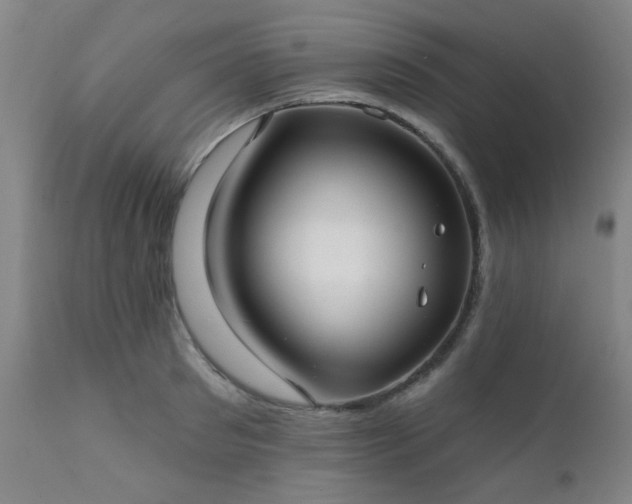 X0000111380897200907171219