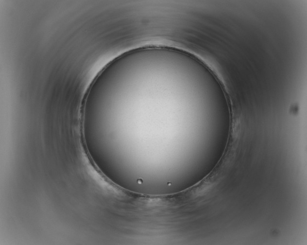 X0000111380903200907171219