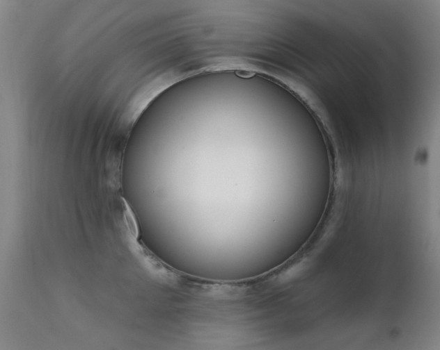 X0000111380905200907171219