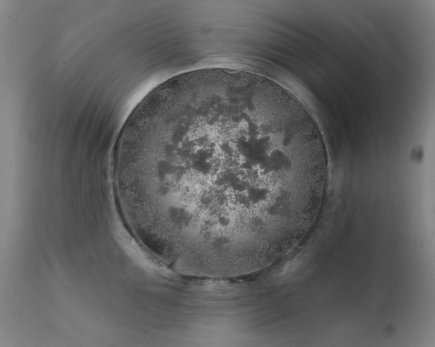 X0000111380907200907171219