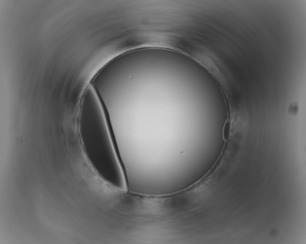 X0000111380908200907171219