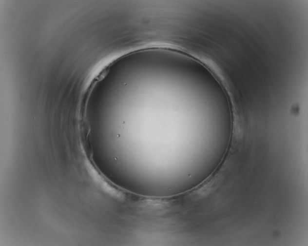 X0000111380910200907171219