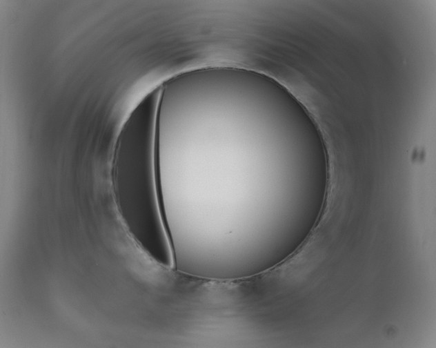 X0000111380912200907171219