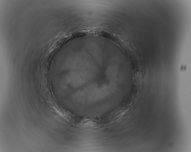 X0000111380913200907171218