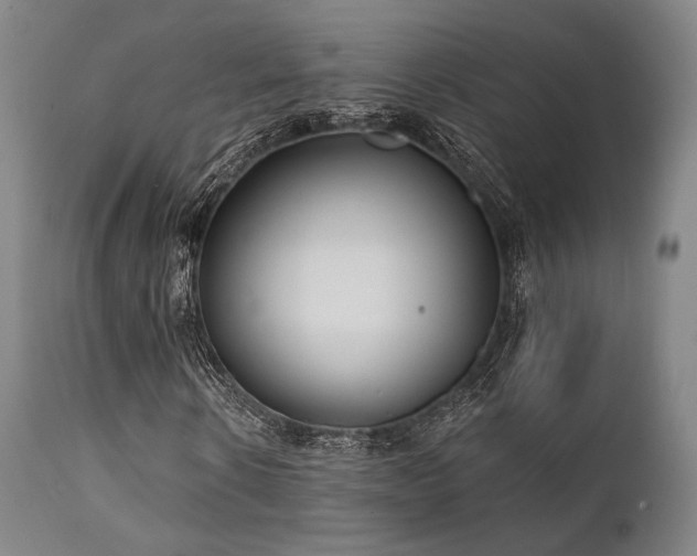 X0000111380914200907171218
