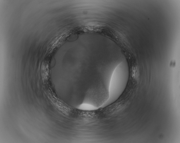 X0000111380915200907171219