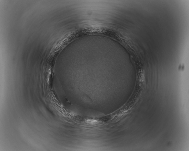 X0000111380916200907171219