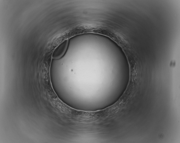 X0000111380917200907171219