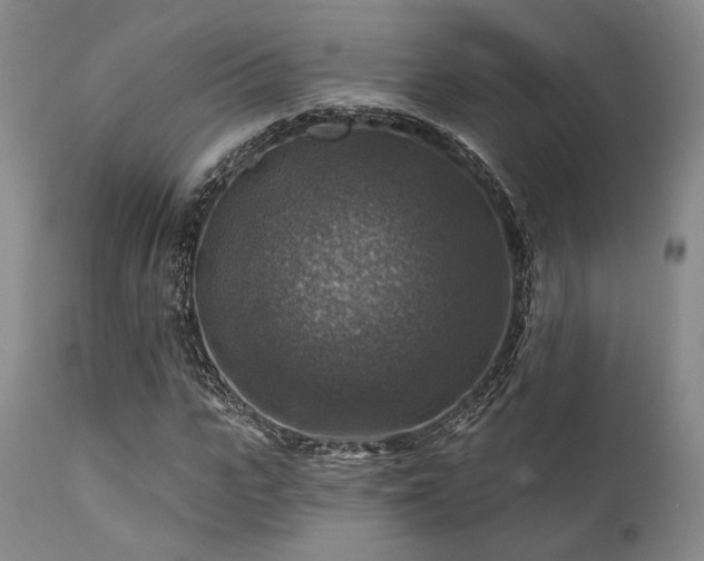 X0000111380919200907171219