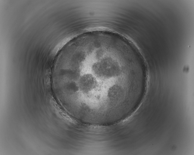 X0000111380921200907171219