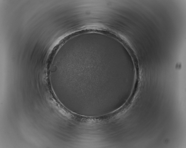 X0000111380923200907171219