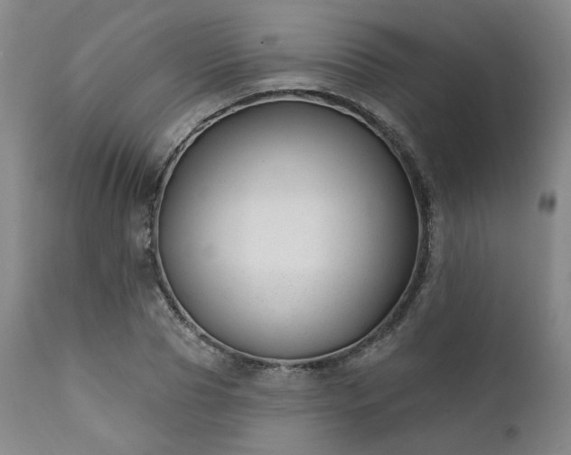 X0000111380929200907171219