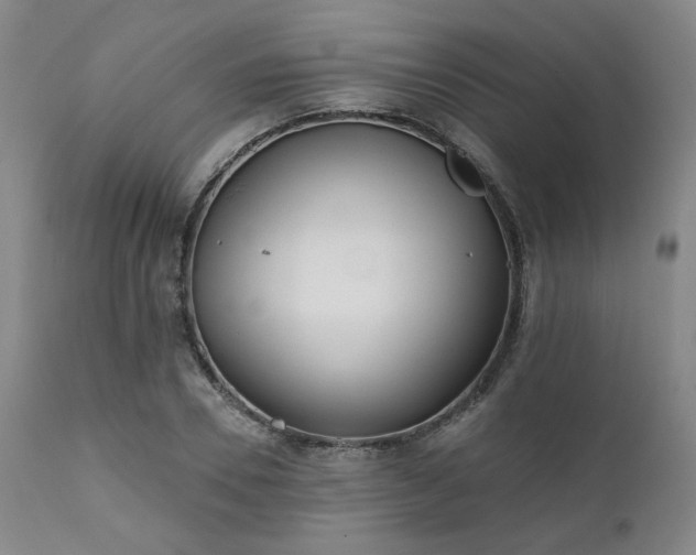 X0000111380930200907171219