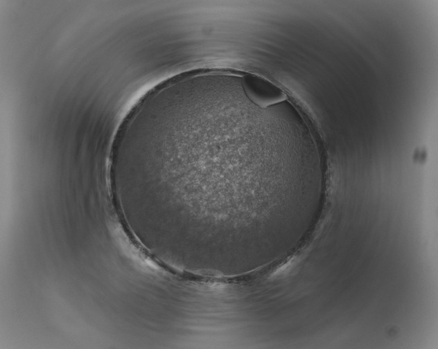 X0000111380932200907171219