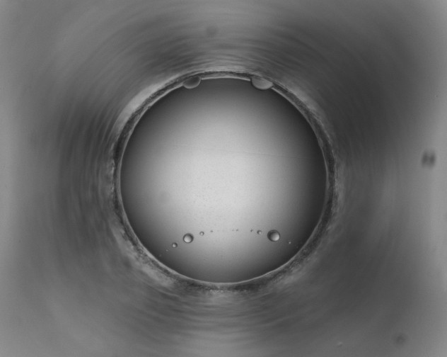 X0000111380933200907171219