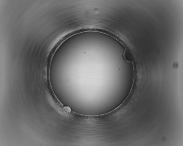 X0000111380934200907171219