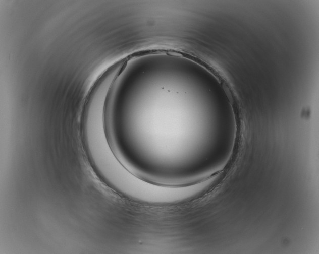 X0000111380936200907171219