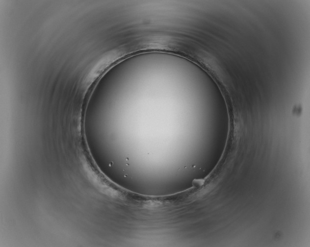 X0000111380938200907171219