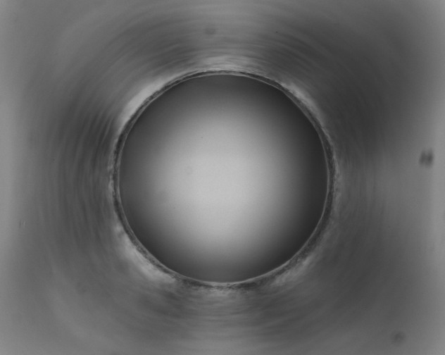 X0000111380941200907171219