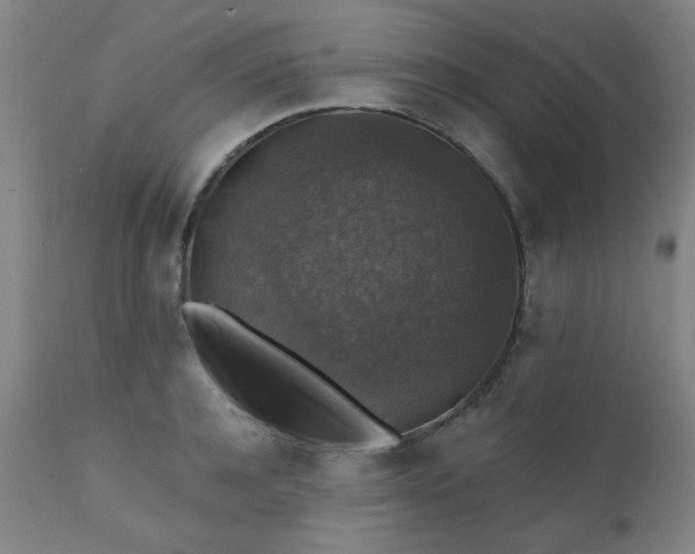 X0000111380944200907171219