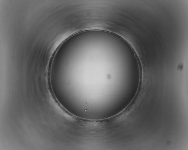 X0000111380949200907171219