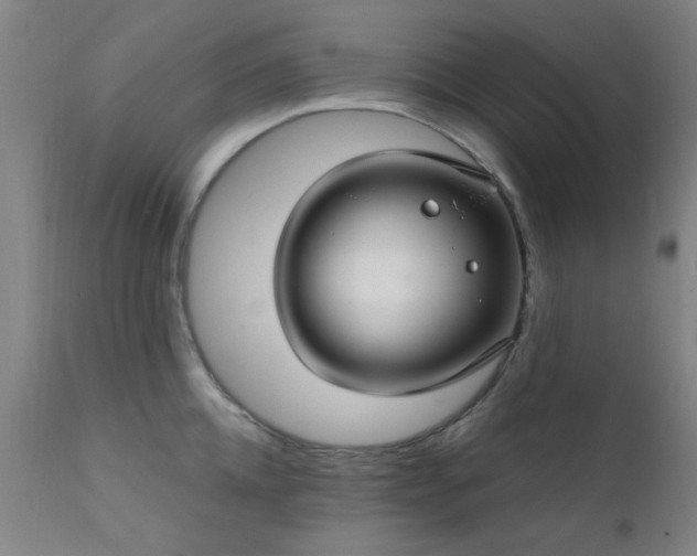X0000111380952200907171219