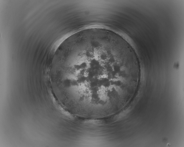 X0000111380953200907171219