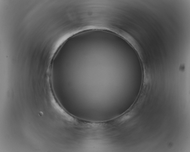 X0000111380958200907171219