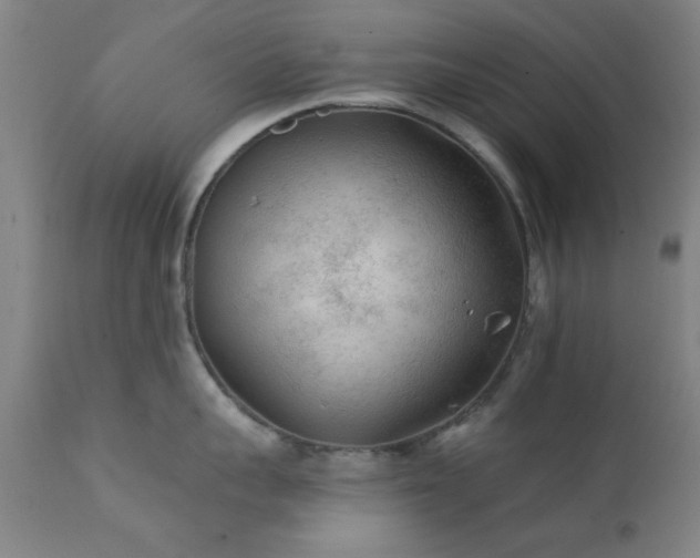 X0000111380959200907171219