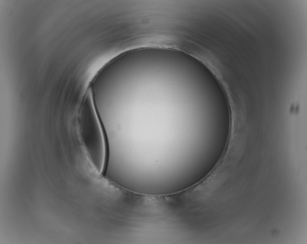 X0000111380960200907171219