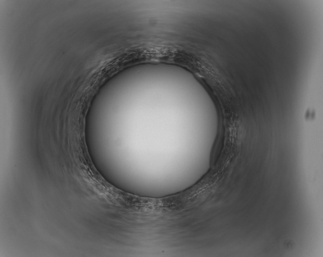 X0000111380961200907171218