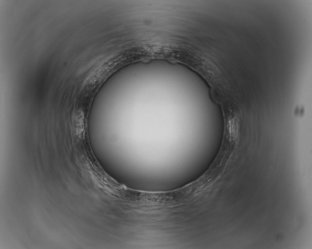 X0000111380963200907171218
