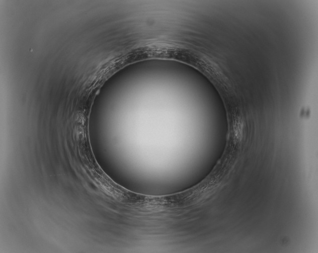 X0000111380964200907171218