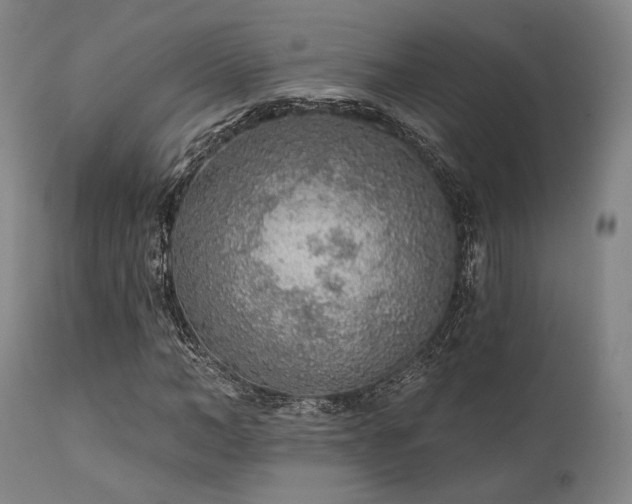 X0000111380966200907171218