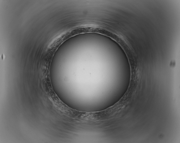 X0000111380967200907171218