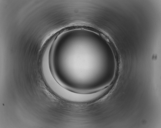 X0000111380973200907171218