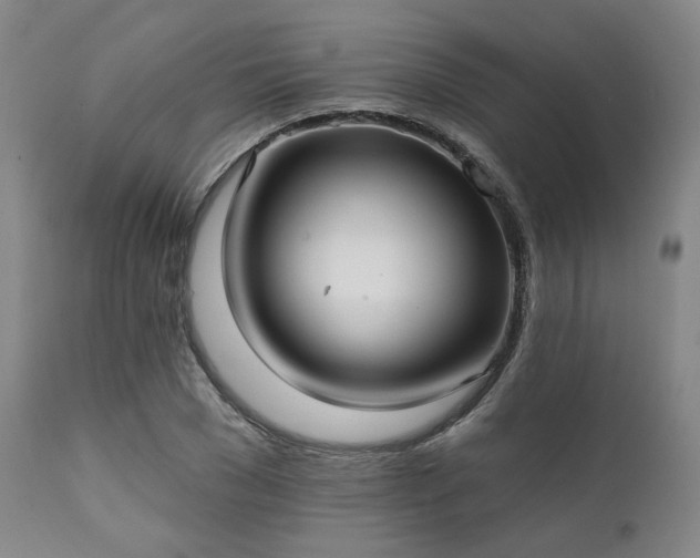 X0000111380977200907171218