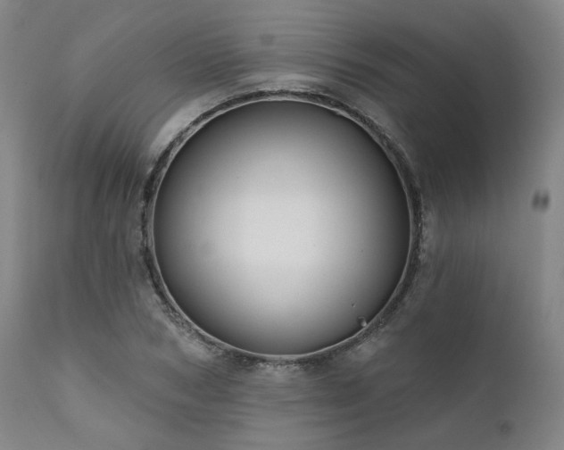 X0000111380978200907171218
