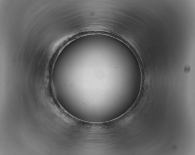 X0000111380979200907171218