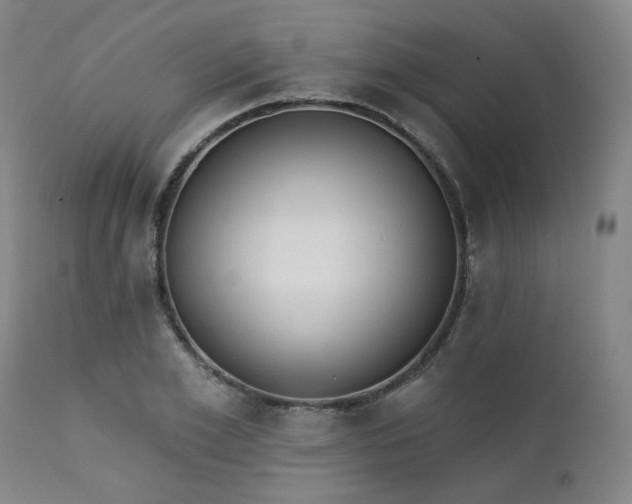 X0000111380981200907171218
