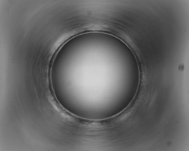 X0000111380986200907171218