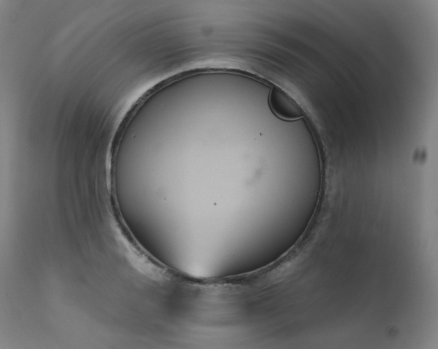 X0000111380988200907171218